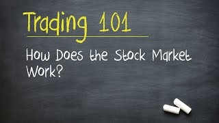 Trading 101 How Does the Stock Market Work [upl. by Oxford]