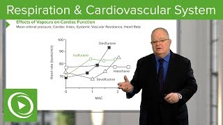 Cardiac Catheter Ablation What to Expect [upl. by Eusoj285]