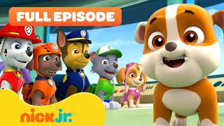 Rubble Joins the PAW Patrol and the Pups Save a Walrus  FULL EPISODES  Nick Jr [upl. by Aciras]