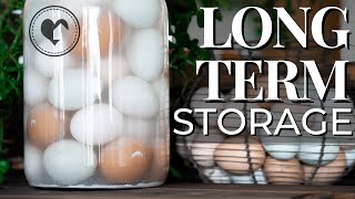 How to Water Glass Eggs For LongTerm Storage [upl. by Narad]