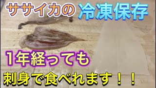 釣ったヤリイカを下処理から冷凍保存するまでの方法を解説 簡単！長期間保存可能！【10釣目】 [upl. by Yttiy]