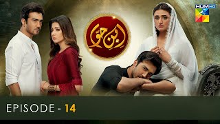 IbneHawwa  Episode 14  Eng Sub   14th May 2022  HUM TV [upl. by Nivonod]