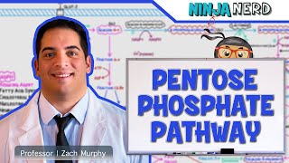 Metabolism  Pentose Phosphate Pathway [upl. by Silverts]