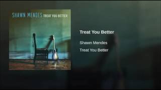 Shawn Mendes Greatest Hits [upl. by Merchant]