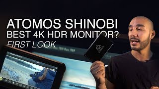 ATOMOS SHINOBI  The best 4K 5inch HDR monitor for video First Look [upl. by Gnos]