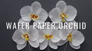 How to make Wafer Paper Orchid [upl. by Balkin]