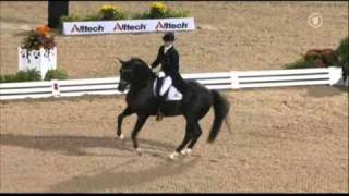 Totilas amp Edward Gal WEG Grand Prix Freestyle [upl. by Nike]