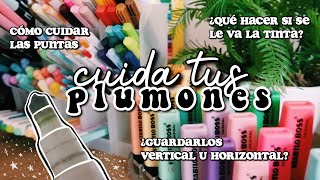 NO LE HAGAS ESTO A TUS PLUMONES ❌ ¿cómo cuidar tus plumones [upl. by Gilligan430]