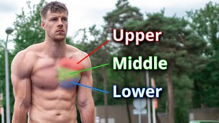 Calisthenics CHEST Workout for Beginners amp Advanced  6 Exercises [upl. by Iorgos584]