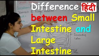 11Digestion System IntestineStomachBuccal CAvity Biology by Nitin Sir Study 91 [upl. by Mulford]