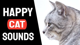 Sound To Make Your Cat Happy  Cat Sound [upl. by Nosnar]