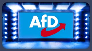 Das Wahlprogramm der AfD erklärt  Bundestagswahl 2025 [upl. by Sheff521]