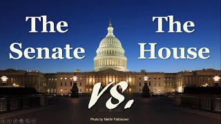 The Senate and the House of Representatives Explained Congress  AP Government Review [upl. by Lindholm194]