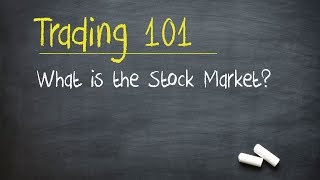 Trading 101 What is the Stock Market [upl. by Lubet292]