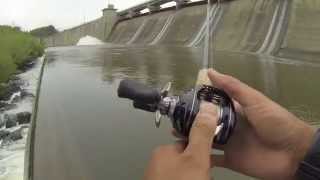 Saugeye and Buffalo Carp Fishing at Hoover Dam [upl. by Nell]