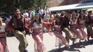 Hammarkullen  Gothenburg  Kurdish Dance [upl. by Rains28]