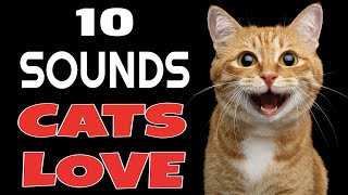 10 Sounds Cats Love To Hear The Most [upl. by Selhorst827]