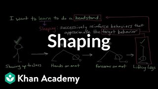 Operant conditioning Shaping  Behavior  MCAT  Khan Academy [upl. by Namzzaj]