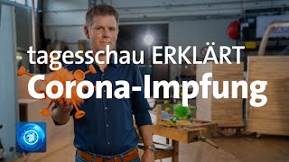 CoronaImpfung Wie Impfungen gegen das Coronavirus funktionieren  tagesschau ERKLÄRT [upl. by Johnathon800]