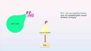 Philadelphia Chromosome Translocations Inversions Deletions [upl. by Porche]