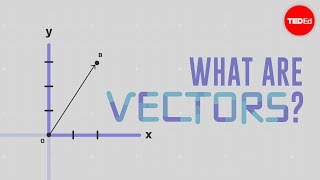 What is a vector  David Huynh [upl. by Olethea214]