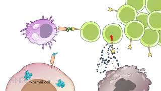 HMX Immunology  Course Preview [upl. by Hazen]