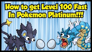 THE BEST EXP GRIND SPOT IN POKEMON PLATINUM  Unlimited Money [upl. by Josephina]