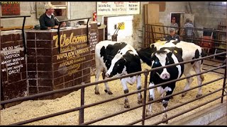 Buying and Selling at Livestock Auctions [upl. by Ingold518]