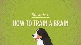 How to Train a Brain Crash Course Psychology 11 [upl. by Bevash]