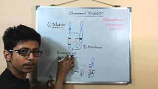 Chromosomal mutations  deletion mutation [upl. by Olmstead]