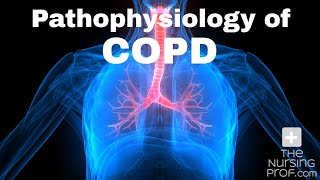 Pathophysiology of COPD [upl. by Meg]