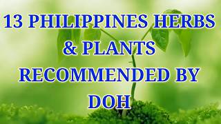 13 PHILIPPINES HERBS amp PLANTS RECOMMENDED BY DOH [upl. by Ladew382]