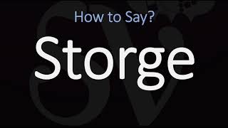 How to Pronounce Storge CORRECTLY LOVE Meaning amp Pronunciation [upl. by Yahsan]