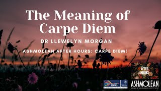 The Meaning of Carpe Diem [upl. by Albric]