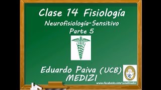 Clase 14 Fisiología  Neurofisiología Sensitivo 5 IGdoctorpaiva [upl. by Neraa]