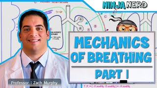 Respiratory  Mechanics of Breathing Pressure Changes  Part 1 [upl. by Rieth]