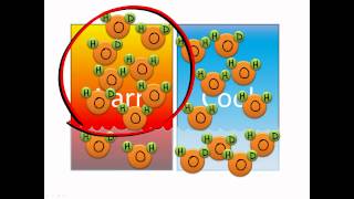 Isotope fractionation [upl. by Eeliah]