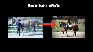 How to Train the Piaffe [upl. by Ninahs]