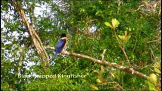 Sensational Sundarbans of Bangladesh  Part 1 [upl. by Eixid593]