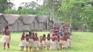 Origens  Aldeia Indigena Yawanawa [upl. by Fink]