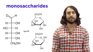 Carbohydrates Part 1 Simple Sugars and Fischer Projections [upl. by Prestige]