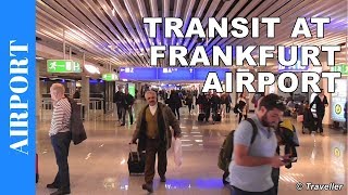 TRANSIT WALK AT FRANKFURT Airport FRA Terminal 1  Connection Flight Transfer Arriving amp Departing [upl. by Waldon]