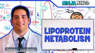 Metabolism  Lipoprotein Metabolism  Chylomicrons VLDL IDL LDL amp HDL [upl. by Jsandye]