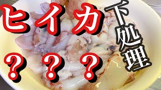 ヒイカ下処理？料理？釣り方分かるけど食べ方は？ヒイカ簡単解決動画【小さいイカ】 [upl. by Pine]