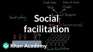 Social facilitation and social loafing  Behavior  MCAT  Khan Academy [upl. by Dinan]