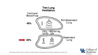 LearnVisible Body  Pulmonary Ventilation [upl. by Adelheid]