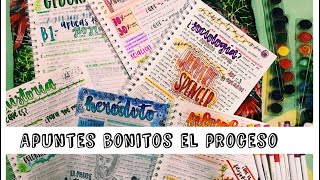 APUNTES BONITOS  el proceso de mis notas  karlasnotes [upl. by Llesirg868]