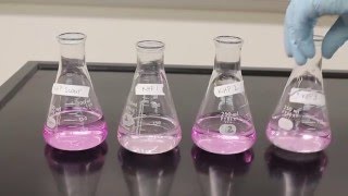 Titration Video [upl. by Amis566]