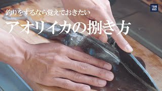 『アオリイカのさばき方』 超簡単！誰でもできる魚の捌き方 [upl. by Acsisnarf]